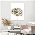 Picture of Dried Hydrangea _GroupedProduct_Rectangle_Portrait_Photography _GroupedProduct_Rectangle_Portrait_Unframed_Print_Only_