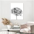 Picture of Dried Hydrangea _GroupedProduct_Rectangle_Portrait_Photography _GroupedProduct_Rectangle_Portrait_Unframed_Print_Only_