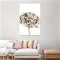Picture of Dried Hydrangea _GroupedProduct_Rectangle_Portrait_Photography _GroupedProduct_Rectangle_Portrait_Unframed_Print_Only_