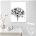 Picture of Dried Hydrangea _GroupedProduct_Rectangle_Portrait_Photography _GroupedProduct_Rectangle_Portrait_Unframed_Print_Only_