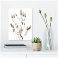 Picture of Dried Lilies  _GroupedProduct_Rectangle_Portrait_Photography _GroupedProduct_Rectangle_Portrait_Unframed_Print_Only_
