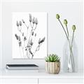 Picture of Dried Lilies  _GroupedProduct_Rectangle_Portrait_Photography _GroupedProduct_Rectangle_Portrait_Unframed_Print_Only_