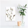 Picture of Dried Lilies  _GroupedProduct_Rectangle_Portrait_Photography _GroupedProduct_Rectangle_Portrait_Unframed_Print_Only_