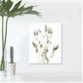 Picture of Dried Lilies  _GroupedProduct_Rectangle_Portrait_Photography _GroupedProduct_Rectangle_Portrait_Unframed_Print_Only_