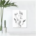 Picture of Dried Lilies  _GroupedProduct_Rectangle_Portrait_Photography _GroupedProduct_Rectangle_Portrait_Unframed_Print_Only_