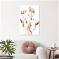 Picture of Dried Lilies  _GroupedProduct_Rectangle_Portrait_Photography _GroupedProduct_Rectangle_Portrait_Unframed_Print_Only_