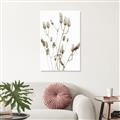 Picture of Dried Lilies  _GroupedProduct_Rectangle_Portrait_Photography _GroupedProduct_Rectangle_Portrait_Unframed_Print_Only_