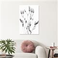 Picture of Dried Lilies  _GroupedProduct_Rectangle_Portrait_Photography _GroupedProduct_Rectangle_Portrait_Unframed_Print_Only_