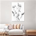 Picture of Dried Lilies  _GroupedProduct_Rectangle_Portrait_Photography _GroupedProduct_Rectangle_Portrait_Unframed_Print_Only_