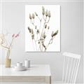 Picture of Dried Lilies  _GroupedProduct_Rectangle_Portrait_Photography _GroupedProduct_Rectangle_Portrait_Unframed_Print_Only_