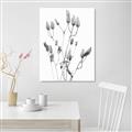Picture of Dried Lilies  _GroupedProduct_Rectangle_Portrait_Photography _GroupedProduct_Rectangle_Portrait_Unframed_Print_Only_