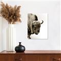 Picture of Buffalo Bill _GroupedProduct_Rectangle_Portrait_Photography _GroupedProduct_Rectangle_Portrait_Unframed_Print_Only_