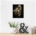 Picture of Ebony, the Horse _GroupedProduct_Rectangle_Portrait_Photography _GroupedProduct_Rectangle_Portrait_Unframed_Print_Only_