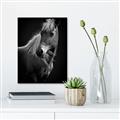 Picture of Ebony, the Horse _GroupedProduct_Rectangle_Portrait_Photography _GroupedProduct_Rectangle_Portrait_Unframed_Print_Only_