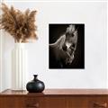 Picture of Ebony, the Horse _GroupedProduct_Rectangle_Portrait_Photography _GroupedProduct_Rectangle_Portrait_Unframed_Print_Only_