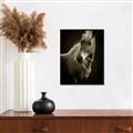 Picture of Ebony, the Horse _GroupedProduct_Rectangle_Portrait_Photography _GroupedProduct_Rectangle_Portrait_Unframed_Print_Only_