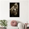 Picture of Ebony, the Horse _GroupedProduct_Rectangle_Portrait_Photography _GroupedProduct_Rectangle_Portrait_Unframed_Print_Only_