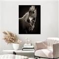 Picture of Ebony, the Horse _GroupedProduct_Rectangle_Portrait_Photography _GroupedProduct_Rectangle_Portrait_Unframed_Print_Only_