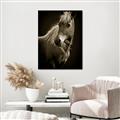 Picture of Ebony, the Horse _GroupedProduct_Rectangle_Portrait_Photography _GroupedProduct_Rectangle_Portrait_Unframed_Print_Only_