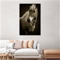 Picture of Ebony, the Horse _GroupedProduct_Rectangle_Portrait_Photography _GroupedProduct_Rectangle_Portrait_Unframed_Print_Only_