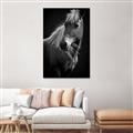 Picture of Ebony, the Horse _GroupedProduct_Rectangle_Portrait_Photography _GroupedProduct_Rectangle_Portrait_Unframed_Print_Only_