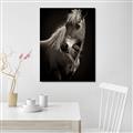 Picture of Ebony, the Horse _GroupedProduct_Rectangle_Portrait_Photography _GroupedProduct_Rectangle_Portrait_Unframed_Print_Only_