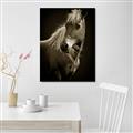 Picture of Ebony, the Horse _GroupedProduct_Rectangle_Portrait_Photography _GroupedProduct_Rectangle_Portrait_Unframed_Print_Only_