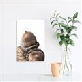 Picture of Fallen Acorns _GroupedProduct_Rectangle_Portrait_Photography _GroupedProduct_Rectangle_Portrait_Unframed_Print_Only_