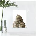 Picture of Fallen Acorns _GroupedProduct_Rectangle_Portrait_Photography _GroupedProduct_Rectangle_Portrait_Unframed_Print_Only_