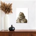 Picture of Fallen Acorns _GroupedProduct_Rectangle_Portrait_Photography _GroupedProduct_Rectangle_Portrait_Unframed_Print_Only_