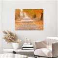 Picture of Falling Leaves  _GroupedProduct_Rectangle_Landscape_Photography _GroupedProduct_Rectangle_Landscape_Unframed_Print_Only_