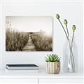 Picture of Field of Dreams   _GroupedProduct_Rectangle_Landscape_Photography _GroupedProduct_Rectangle_Landscape_Unframed_Print_Only_
