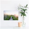Picture of Field of Dreams   _GroupedProduct_Rectangle_Landscape_Photography _GroupedProduct_Rectangle_Landscape_Unframed_Print_Only_