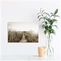 Picture of Field of Dreams   _GroupedProduct_Rectangle_Landscape_Photography _GroupedProduct_Rectangle_Landscape_Unframed_Print_Only_