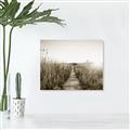 Picture of Field of Dreams   _GroupedProduct_Rectangle_Landscape_Photography _GroupedProduct_Rectangle_Landscape_Unframed_Print_Only_