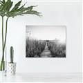 Picture of Field of Dreams   _GroupedProduct_Rectangle_Landscape_Photography _GroupedProduct_Rectangle_Landscape_Unframed_Print_Only_