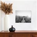 Picture of Field of Dreams   _GroupedProduct_Rectangle_Landscape_Photography _GroupedProduct_Rectangle_Landscape_Unframed_Print_Only_