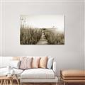 Picture of Field of Dreams   _GroupedProduct_Rectangle_Landscape_Photography _GroupedProduct_Rectangle_Landscape_Unframed_Print_Only_