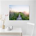 Picture of Field of Dreams   _GroupedProduct_Rectangle_Landscape_Photography _GroupedProduct_Rectangle_Landscape_Unframed_Print_Only_