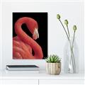 Picture of Flamingo Flame _GroupedProduct_Rectangle_Portrait_Photography _GroupedProduct_Rectangle_Portrait_Unframed_Print_Only_