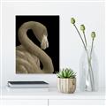 Picture of Flamingo Flame _GroupedProduct_Rectangle_Portrait_Photography _GroupedProduct_Rectangle_Portrait_Unframed_Print_Only_