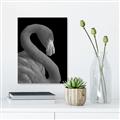 Picture of Flamingo Flame _GroupedProduct_Rectangle_Portrait_Photography _GroupedProduct_Rectangle_Portrait_Unframed_Print_Only_