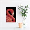 Picture of Flamingo Flame _GroupedProduct_Rectangle_Portrait_Photography _GroupedProduct_Rectangle_Portrait_Unframed_Print_Only_