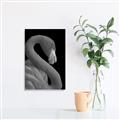 Picture of Flamingo Flame _GroupedProduct_Rectangle_Portrait_Photography _GroupedProduct_Rectangle_Portrait_Unframed_Print_Only_