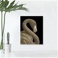 Picture of Flamingo Flame _GroupedProduct_Rectangle_Portrait_Photography _GroupedProduct_Rectangle_Portrait_Unframed_Print_Only_
