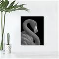 Picture of Flamingo Flame _GroupedProduct_Rectangle_Portrait_Photography _GroupedProduct_Rectangle_Portrait_Unframed_Print_Only_