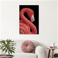 Picture of Flamingo Flame _GroupedProduct_Rectangle_Portrait_Photography _GroupedProduct_Rectangle_Portrait_Unframed_Print_Only_