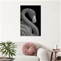 Picture of Flamingo Flame _GroupedProduct_Rectangle_Portrait_Photography _GroupedProduct_Rectangle_Portrait_Unframed_Print_Only_