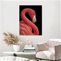 Picture of Flamingo Flame _GroupedProduct_Rectangle_Portrait_Photography _GroupedProduct_Rectangle_Portrait_Unframed_Print_Only_
