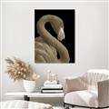 Picture of Flamingo Flame _GroupedProduct_Rectangle_Portrait_Photography _GroupedProduct_Rectangle_Portrait_Unframed_Print_Only_